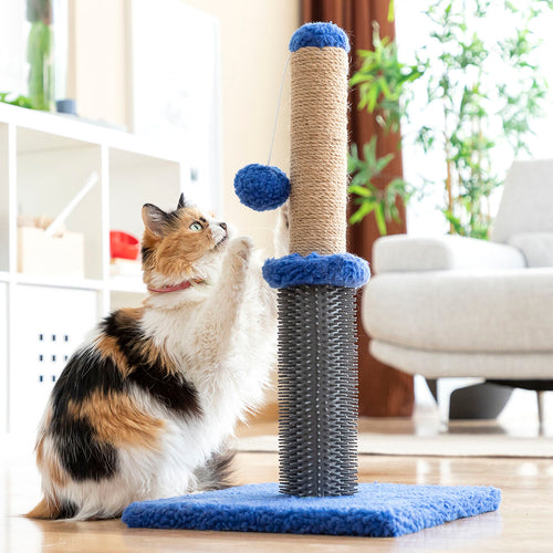 Arbre à chat 2-en-1 : griffoir, massage et balle de jeu 🐶