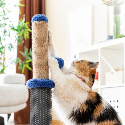 Arbre à chat 2-en-1 : griffoir, massage et balle de jeu 🐶