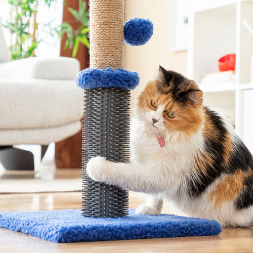 Arbre à chat 2-en-1 : griffoir, massage et balle de jeu 🐶